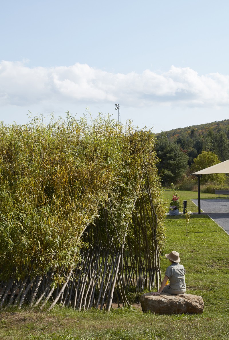 Architecturama - Growing Living Architecture