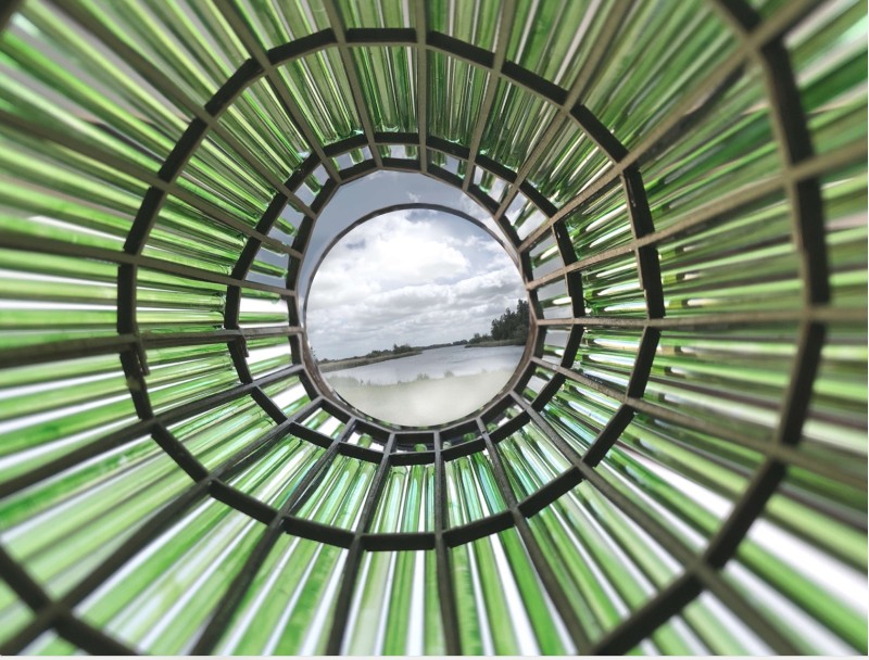 Irene Wing Sum Wu - Alive Algae Architecture