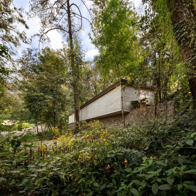 CF taller + Taller Paralelo - Casa El Pinar