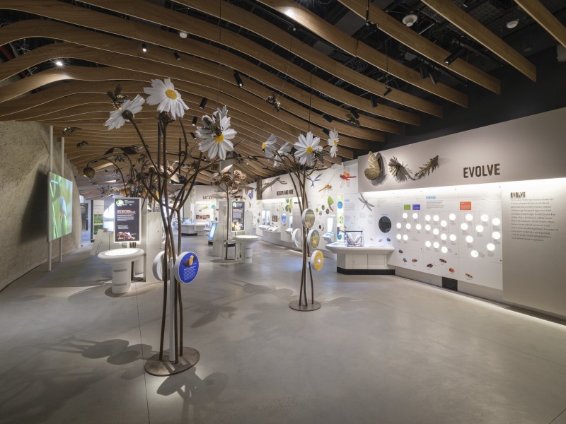 Ralph Appelbaum Associates - The Richard Gilder Center for Science, Education, and Innovation