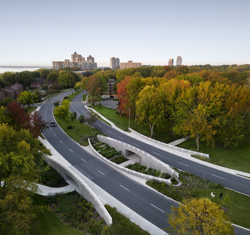 Provencher_Roy - Darwin Bridges