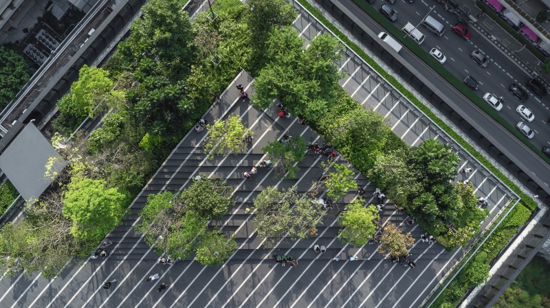 Shma Company Limited - Sky Forest Scape