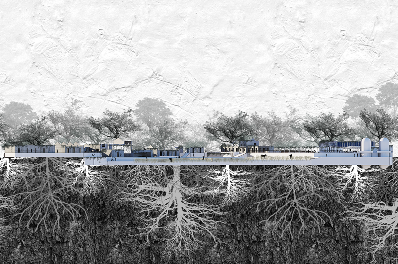 Siu Fung Kwok - Nature Reclaimed
