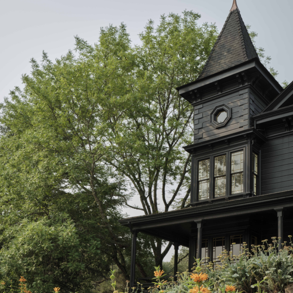 The Faust Haus - remarkable renovation Projects